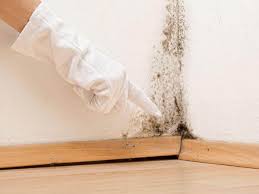 Best Mold Removal for HVAC Installations  in West Allis, WI